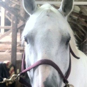 Meet your Posher, Linda